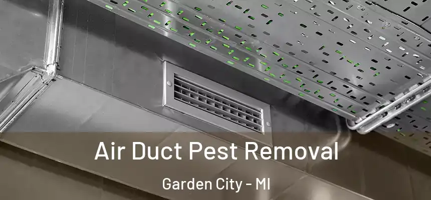  Air Duct Pest Removal Garden City - MI