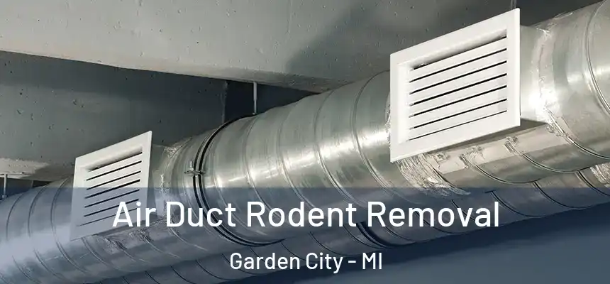  Air Duct Rodent Removal Garden City - MI