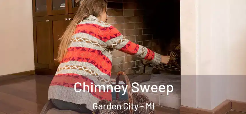  Chimney Sweep Garden City - MI