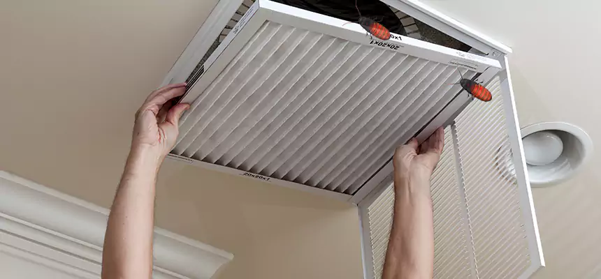 Preventive Cockroach-Proofing for Ducts in Garden City