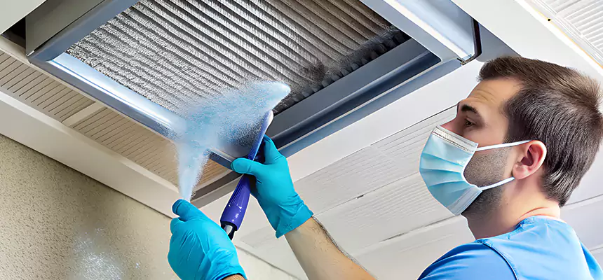 Proactive Dryer Vent & Auxiliary Duct Pollen Cleanup in Garden City, MI