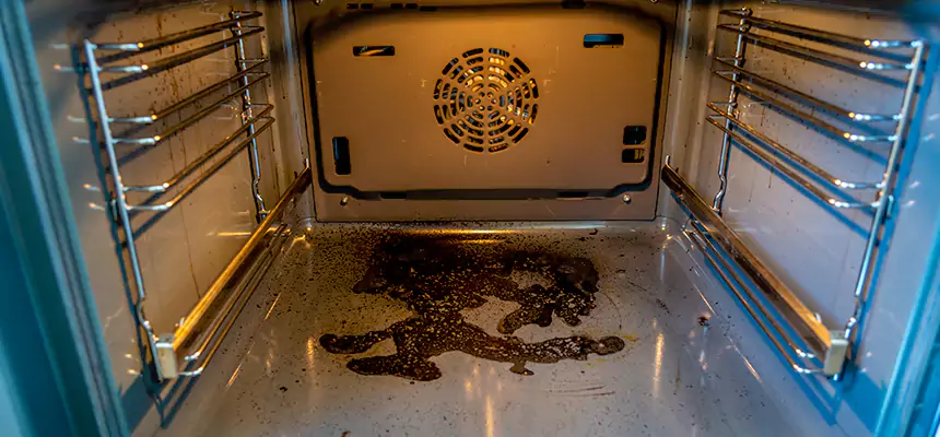 Our Dryer Vent Mold Cleaning Services in Garden City, MI