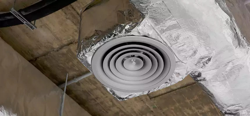 Our Excess Lint Removal from Dryer Ducts Services in Garden City, MI