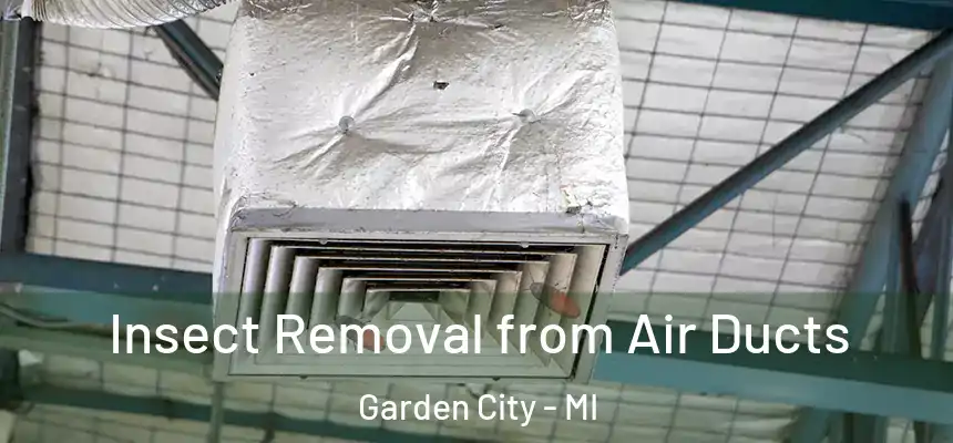  Insect Removal from Air Ducts Garden City - MI