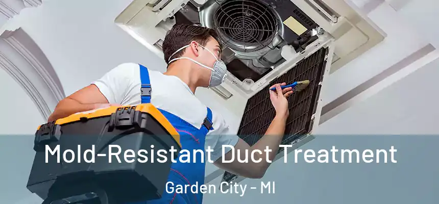  Mold-Resistant Duct Treatment Garden City - MI