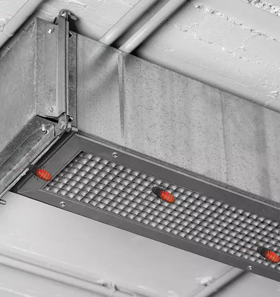 Affordable Insect Removal from Air Ducts in Garden City, MI