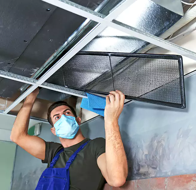 Why Homeowners Businesses Trust Us in Garden City, MI